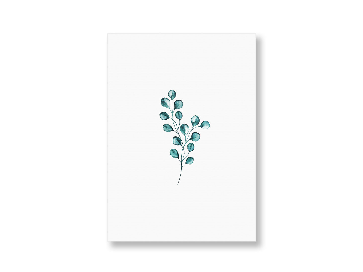 Eukalyptus | Postkarte