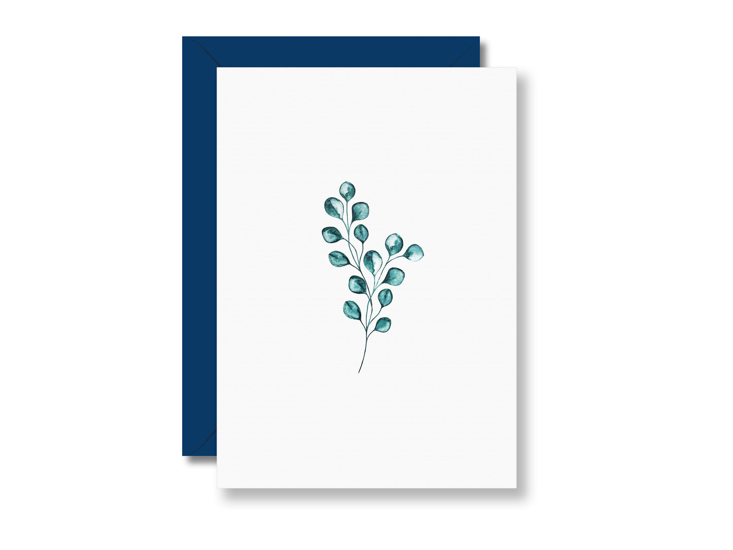 Eukalyptus | Postkarte