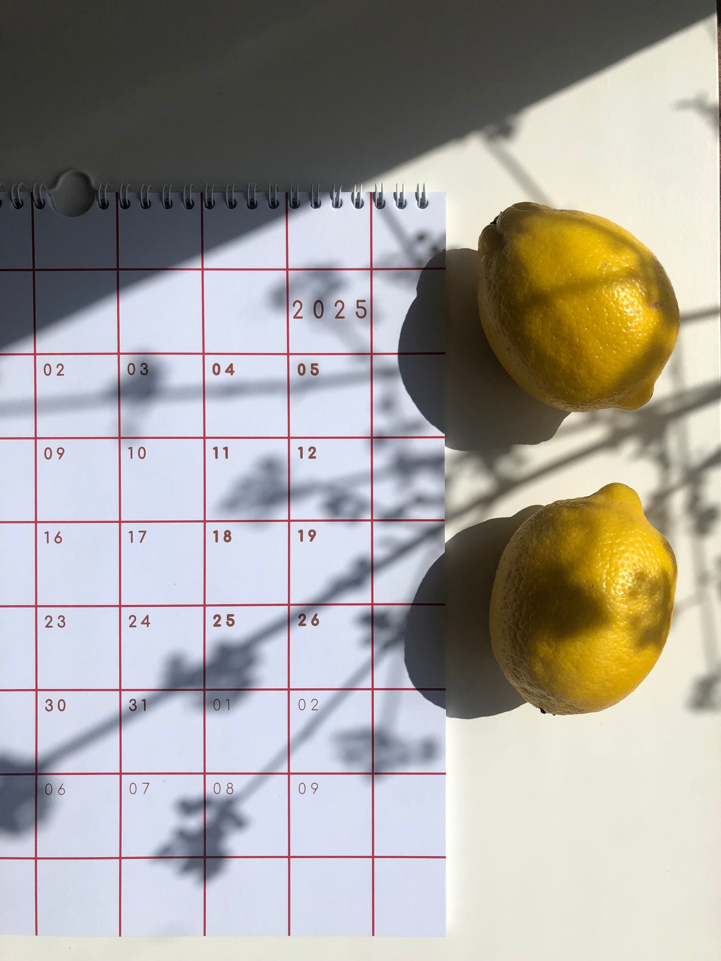 Kalender 2026 - kariert
