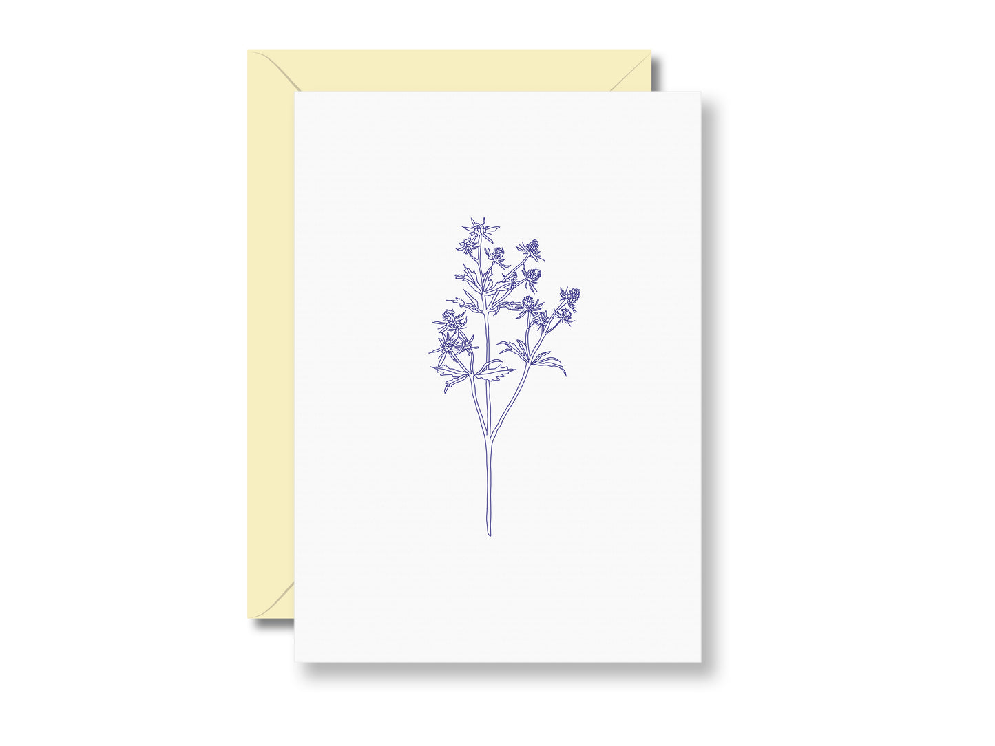 Distel | Postkarte