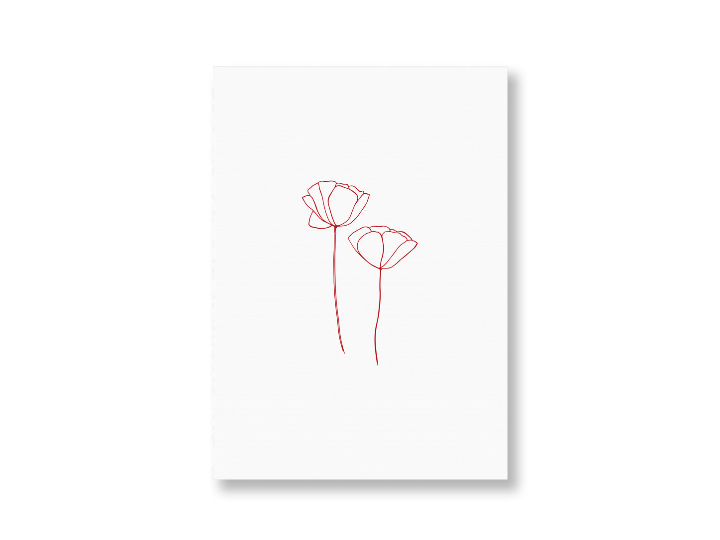 Mohn | Postkarte