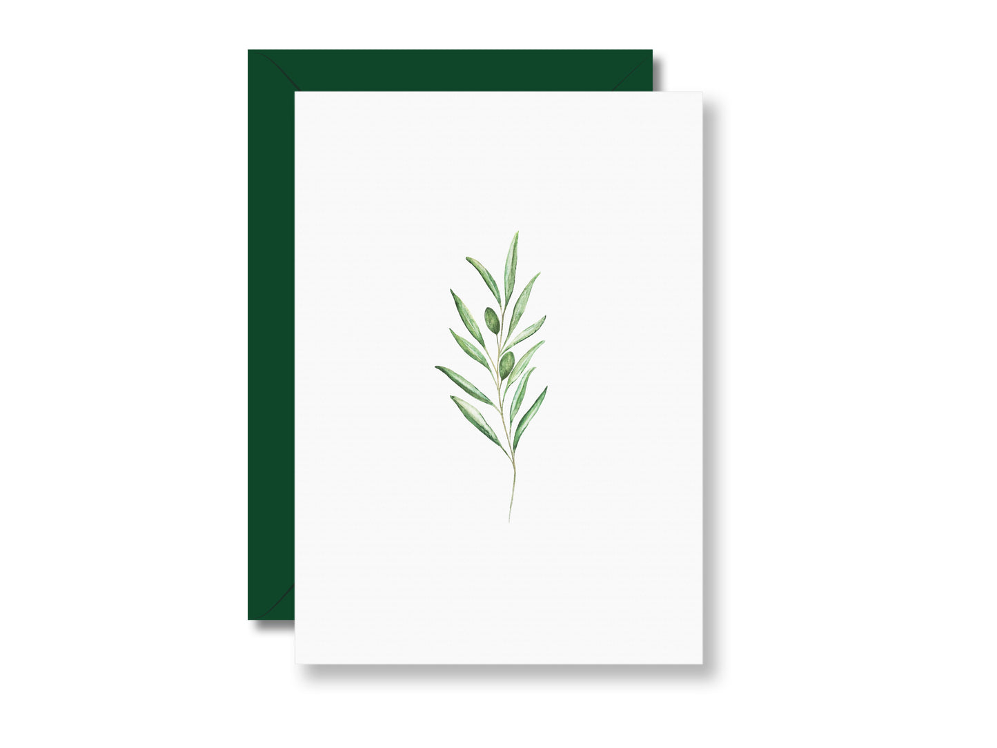 Olive | Postkarte