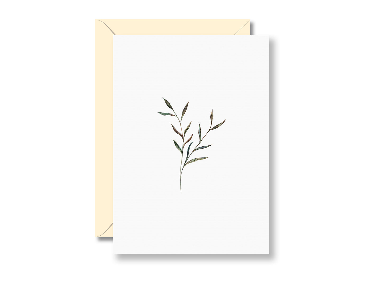 Zweig | Postkarte
