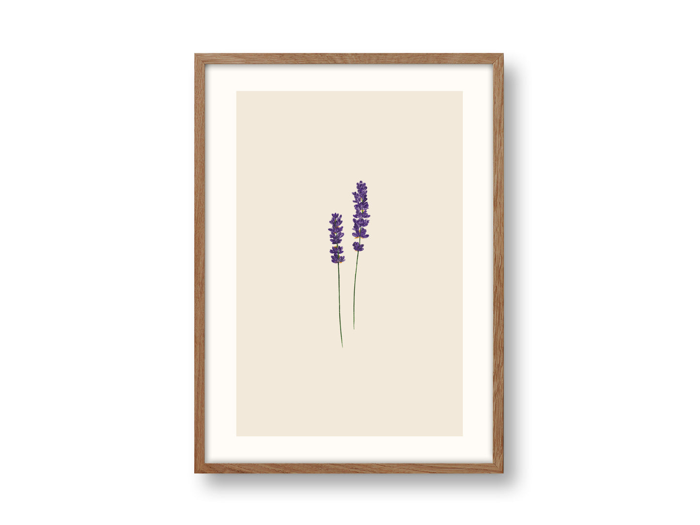 A3 Kunstdruck | Lavendel