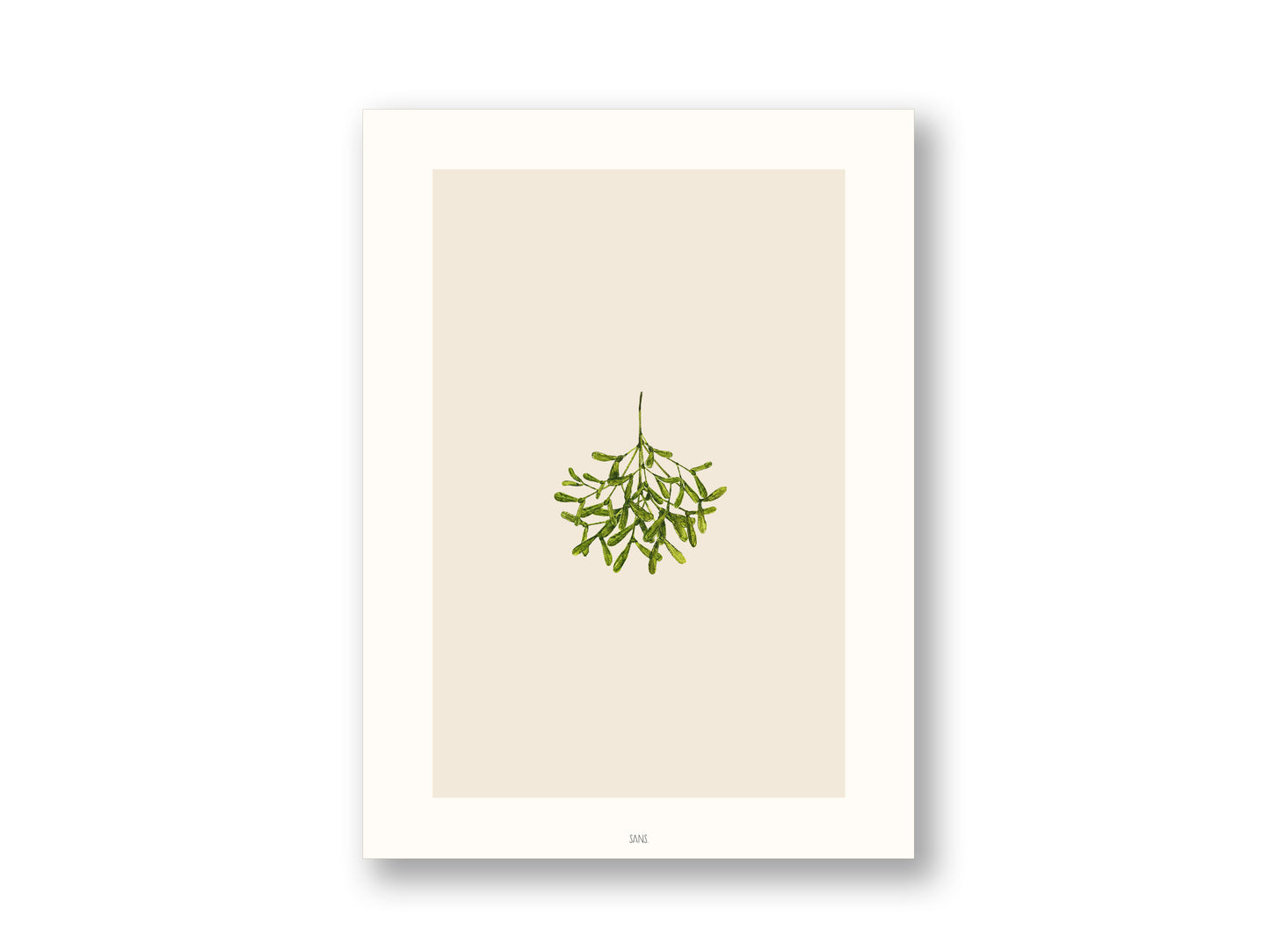 Mistelzweig | Kunstdruck