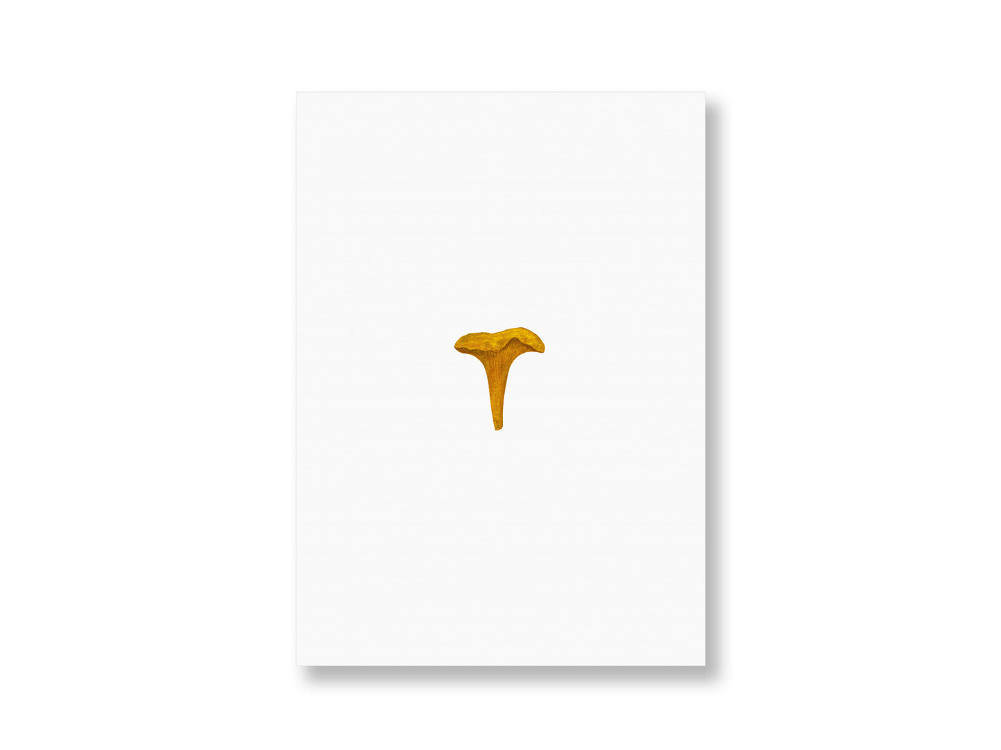 Pfifferling | Postkarte