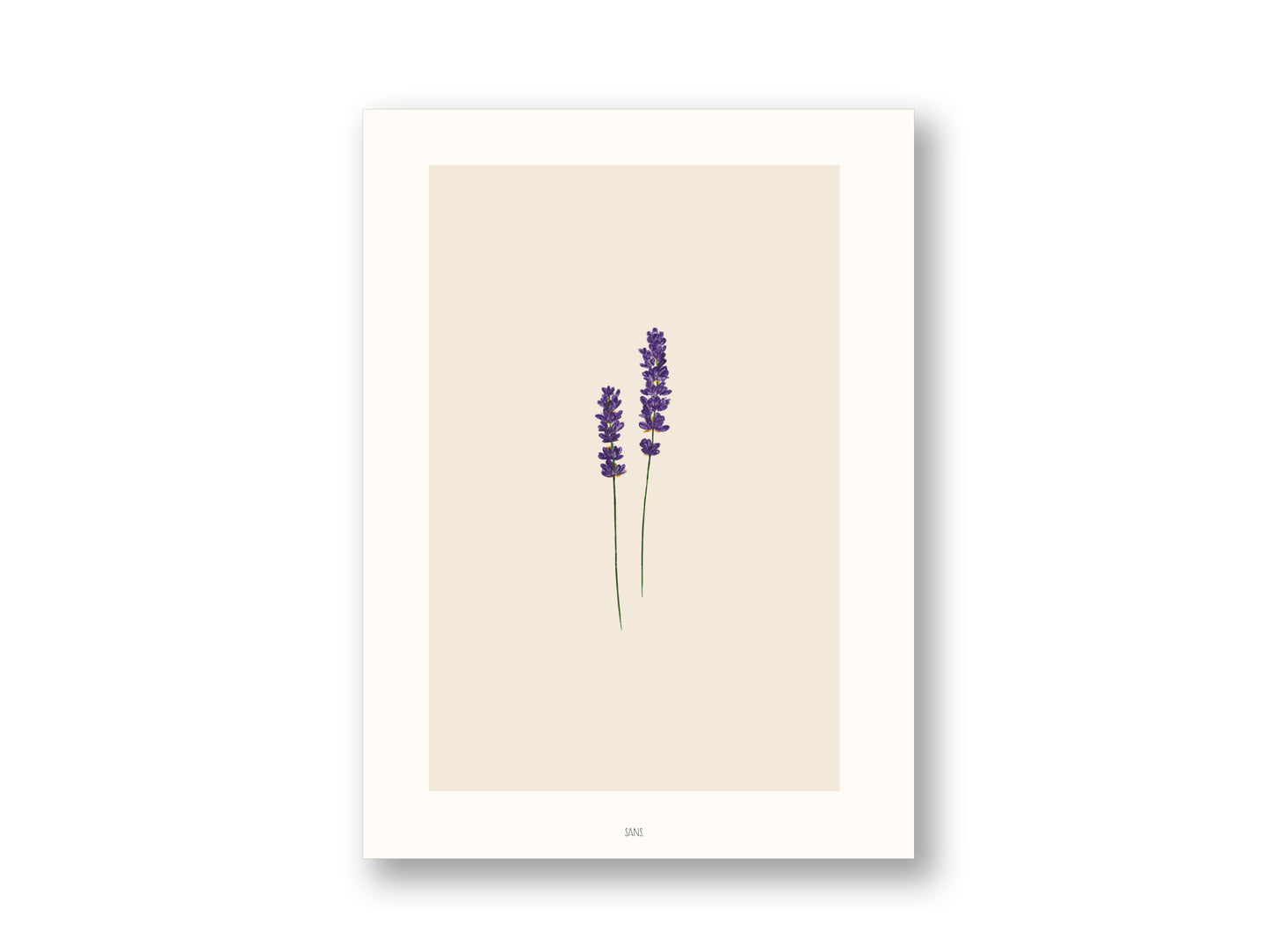 Lavendel | Kunstdruck