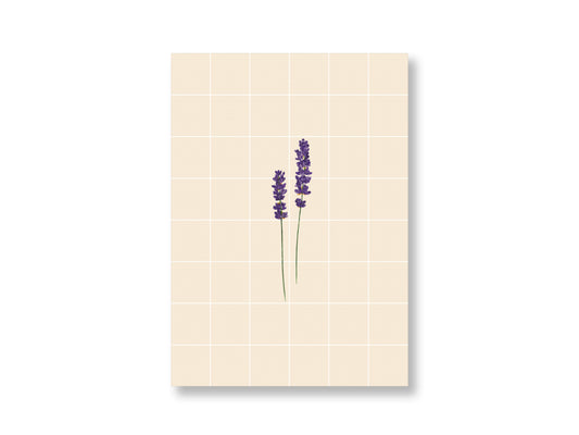 Lavendel, kariert | Postkarte