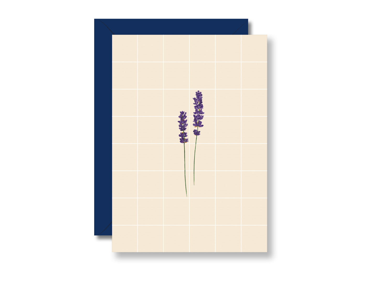 Lavendel, kariert | Postkarte