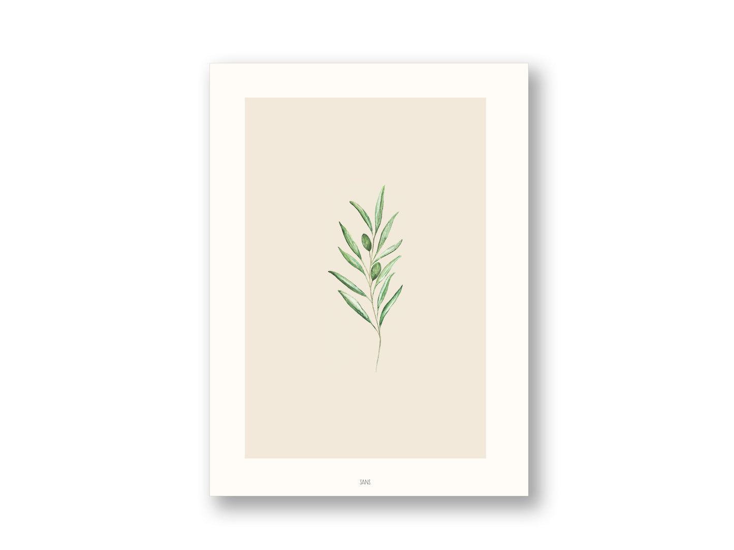 Olive | Kunstdruck