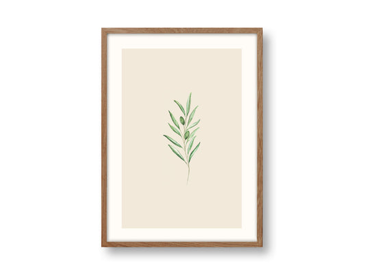 Olive | Kunstdruck